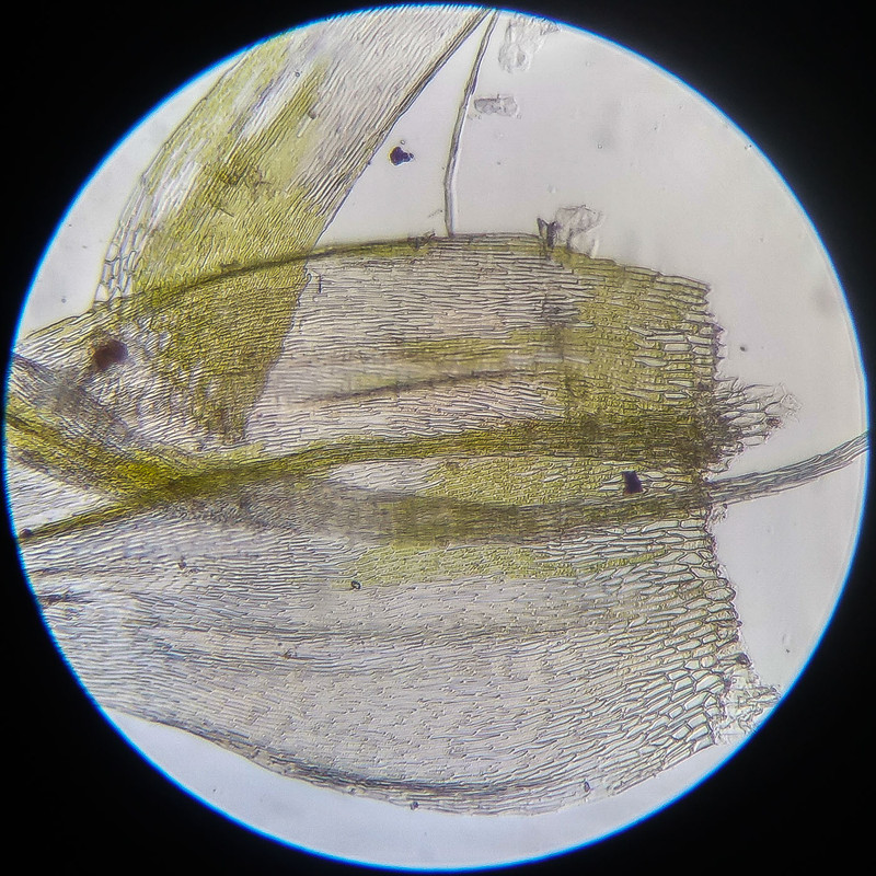 IMG 20250614 122525 HDR