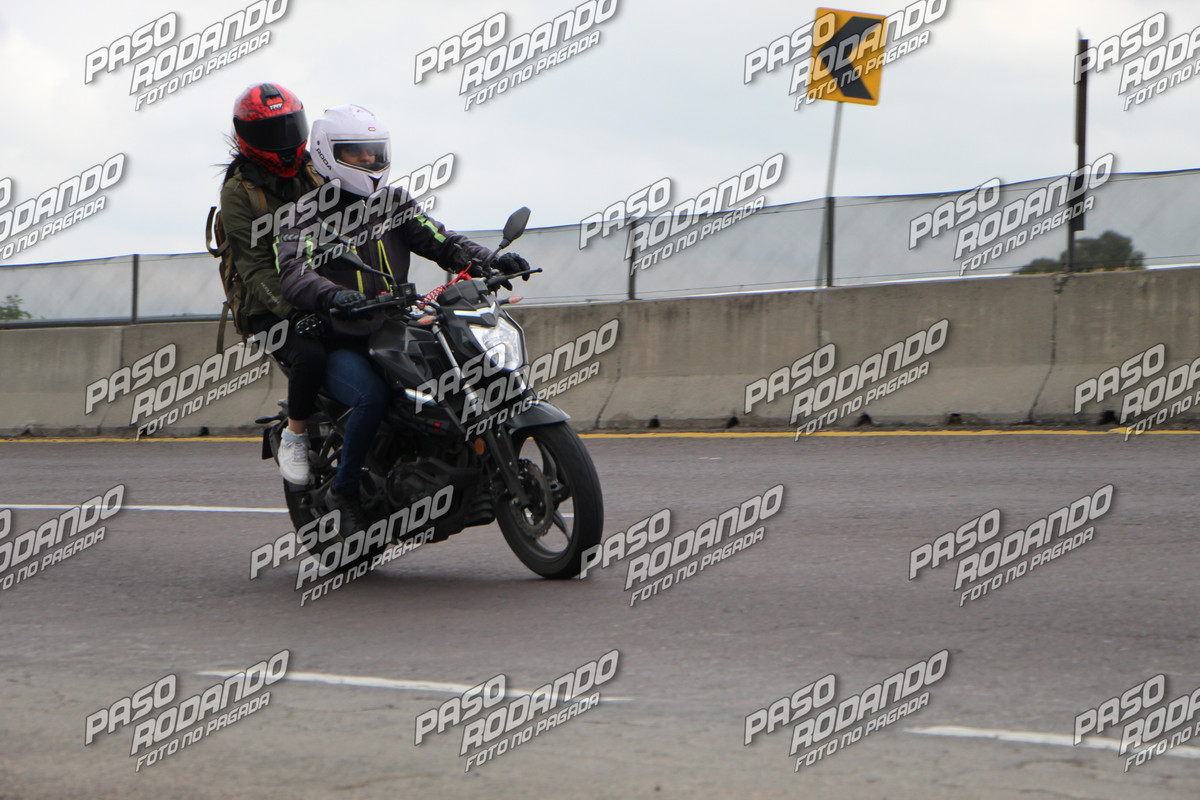 IMG 5346 wm 817573 5 watermarked — Postimages