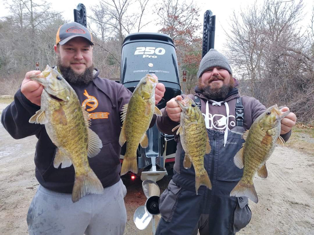 FB_IMG_1610240459363