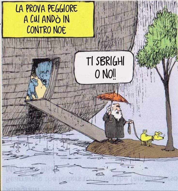 FB_IMG_1653649569389