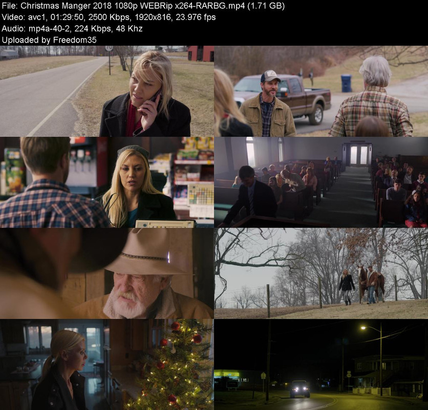 Christmas-Manger-2018-1080p-WEBRip-x264-