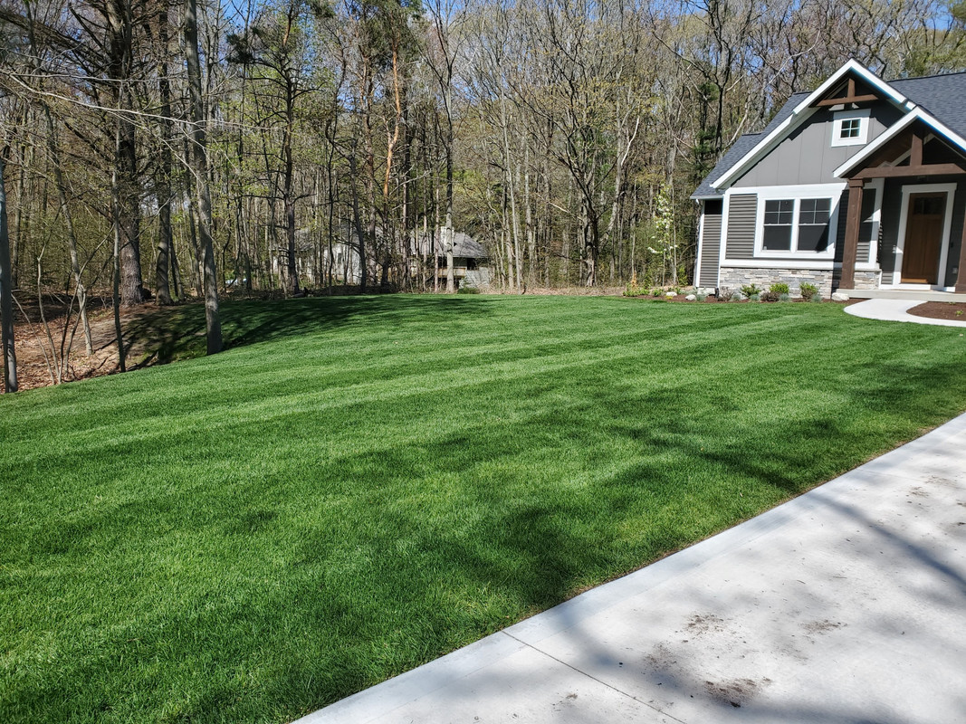 2159CBF0-6392-4EAD-A16E-C8889EDF0906