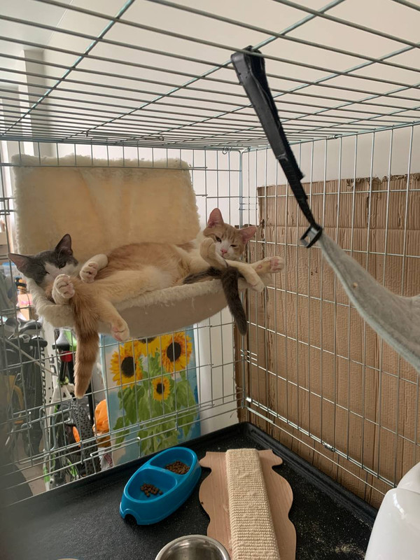 B81CADBC-EB1F-4C31-9AD7-E215522BD7F7