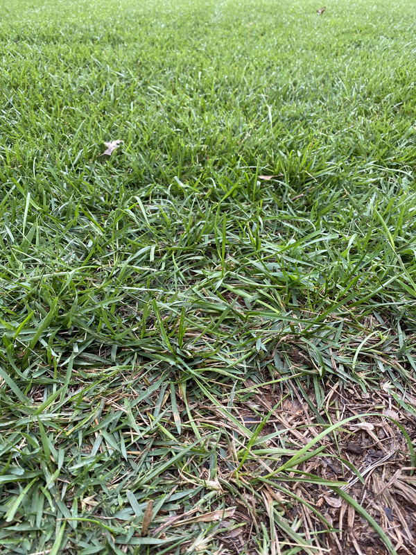 80EAEA75-52ED-425B-BEE0-BC8C07460857