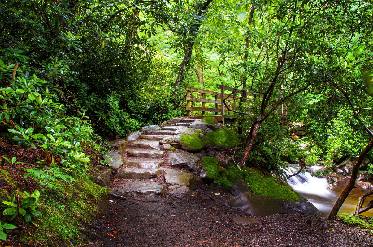 greenstairwaytoheaven.jpg
