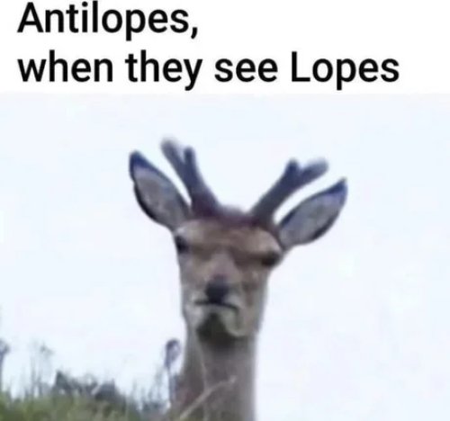 24th.jpg