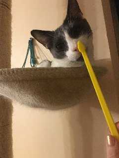 1612-CEFA-8670-47-F5-8815-E16-EBD827-B05