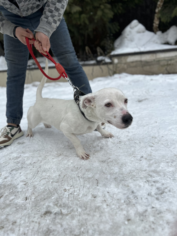 E00CFE63-D40D-412F-9D5C-AE21D77B2C0A