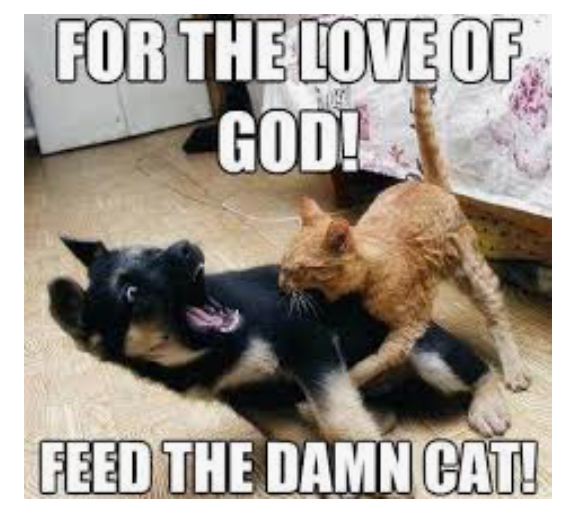 9B21BC78-6A09-4B71-91CF-27C803387976