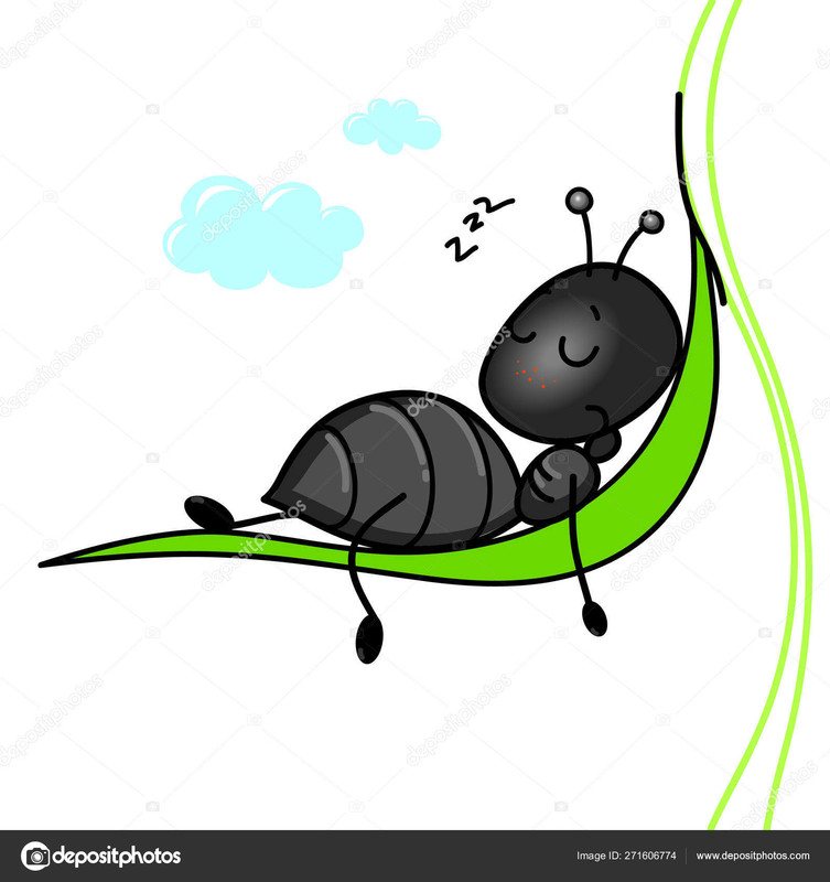 Fourmi qui dort