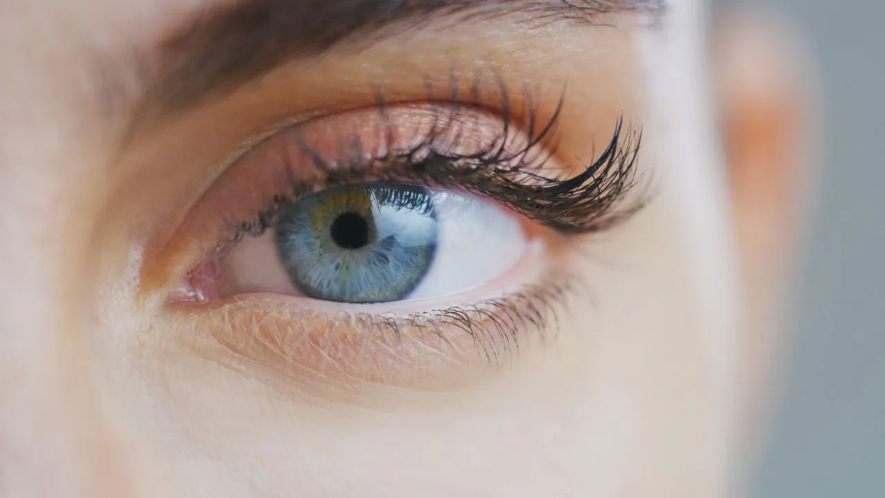 ¿Cómo hacer crecer las pestañas? Estos son los mejores remedios