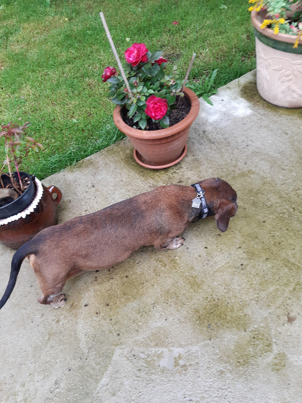 [Image: 20210522-171338.jpg]