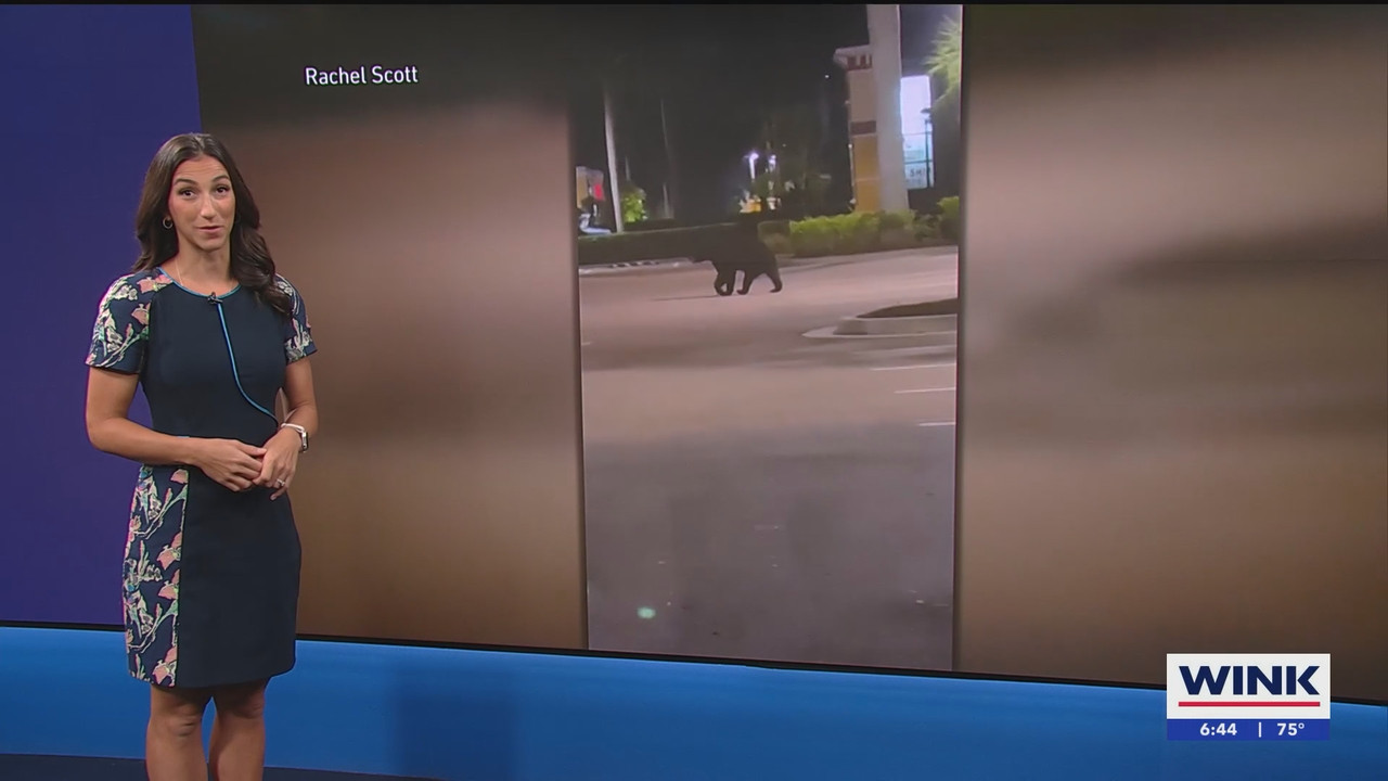 WINK News at 630am_20250526_11301200.ts_snapshot_15.55.377