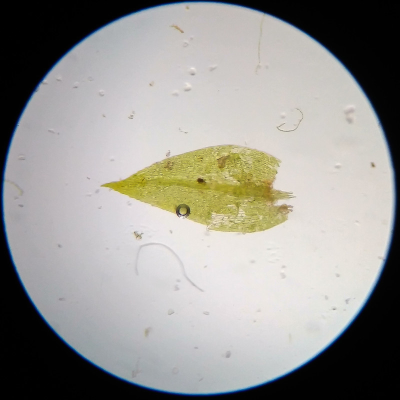 IMG 20250617 115425 HDR