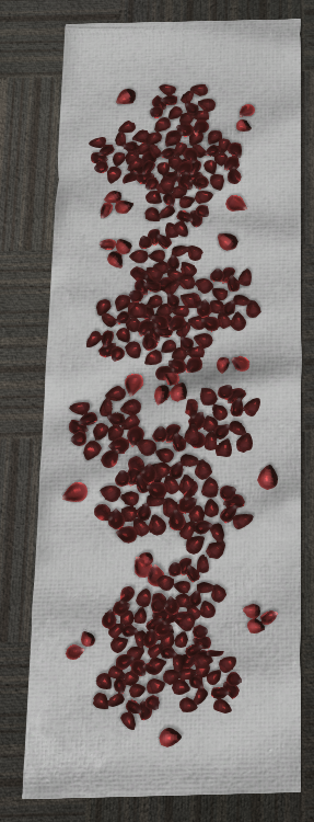 Rose Petal Floor Runner