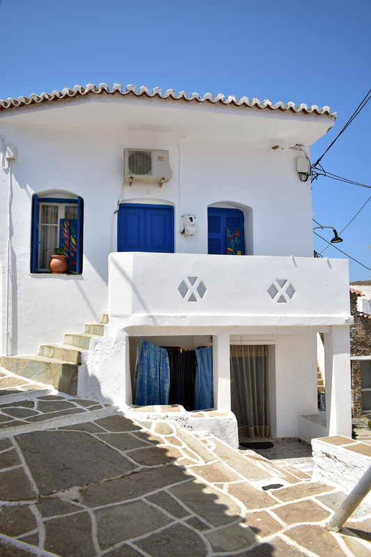 Δρυοπίδα (4)