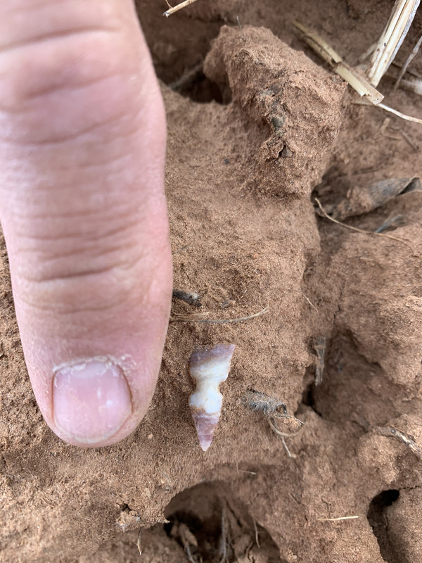 AB690465-933E-40B9-A428-E82CD36188CE