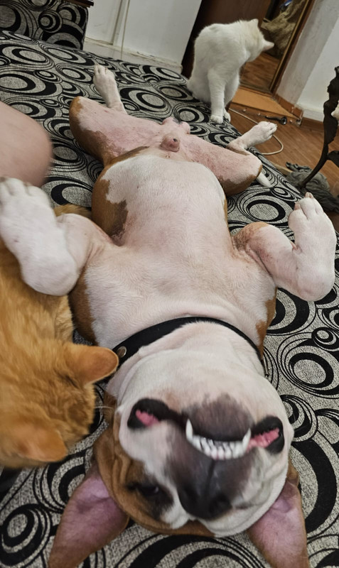 WhatsApp Image 2024-01-20 at 19.47.56 (3)