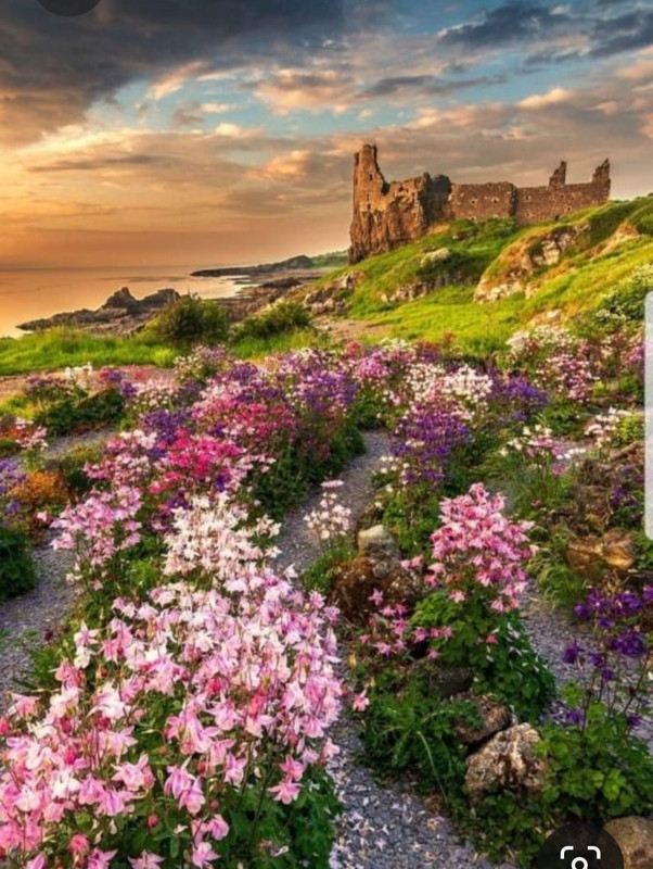 Screenshot_20231104_214800_Pinterest