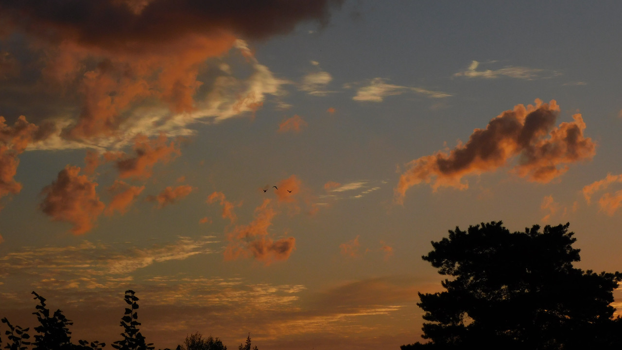 Август дачный кукольный 2023 025