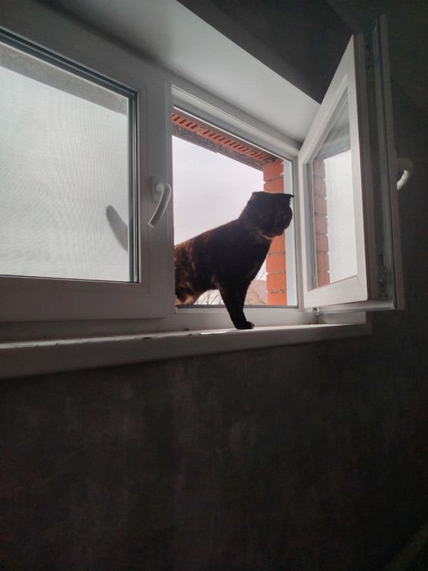 8photo 2025 12 01 14 37 38 (4)