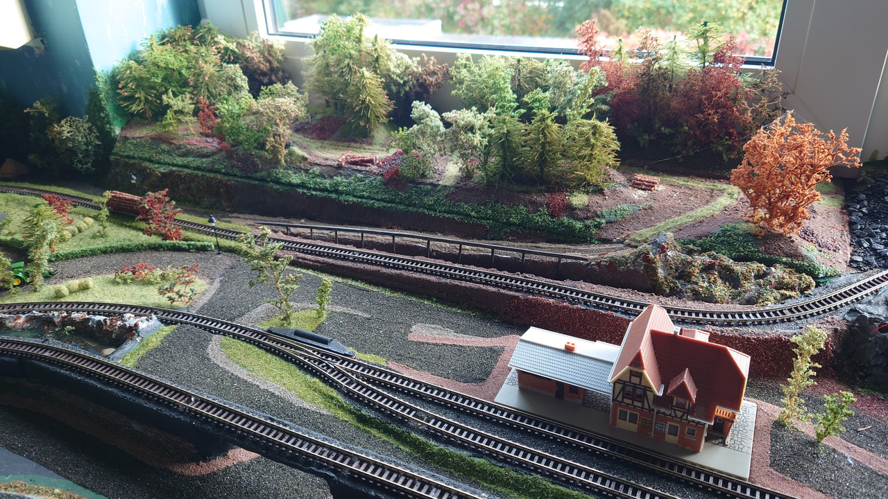 1000030273