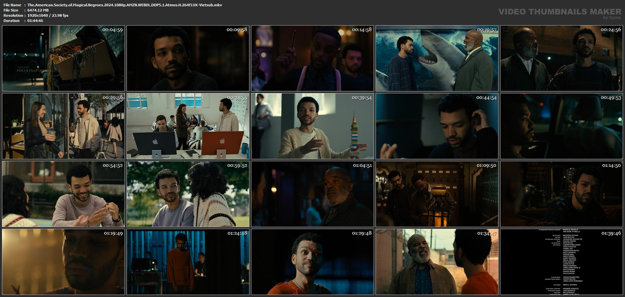 The.American.Society.of.Magical.Negroes.2024.1080p.AMZN.WEBDL.DDP5.1.Atmos.H.264FLUX-Vietsub.mkv