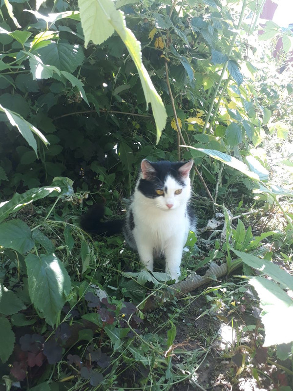 изображение_viber_2019-06-24_16-22-59