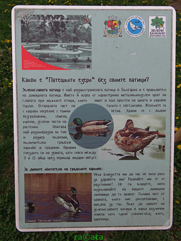 IMG 0244 — Postimages