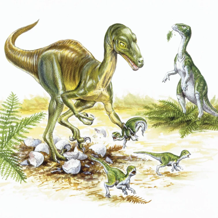 static-assets-upload87743247726555983