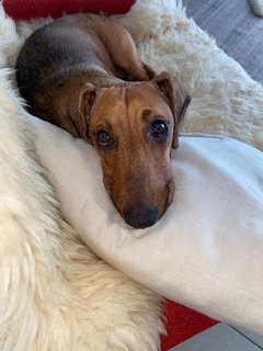 [Image: 84552122-33-D7-4338-852-F-EF82-EE2-AD80-B.jpg]