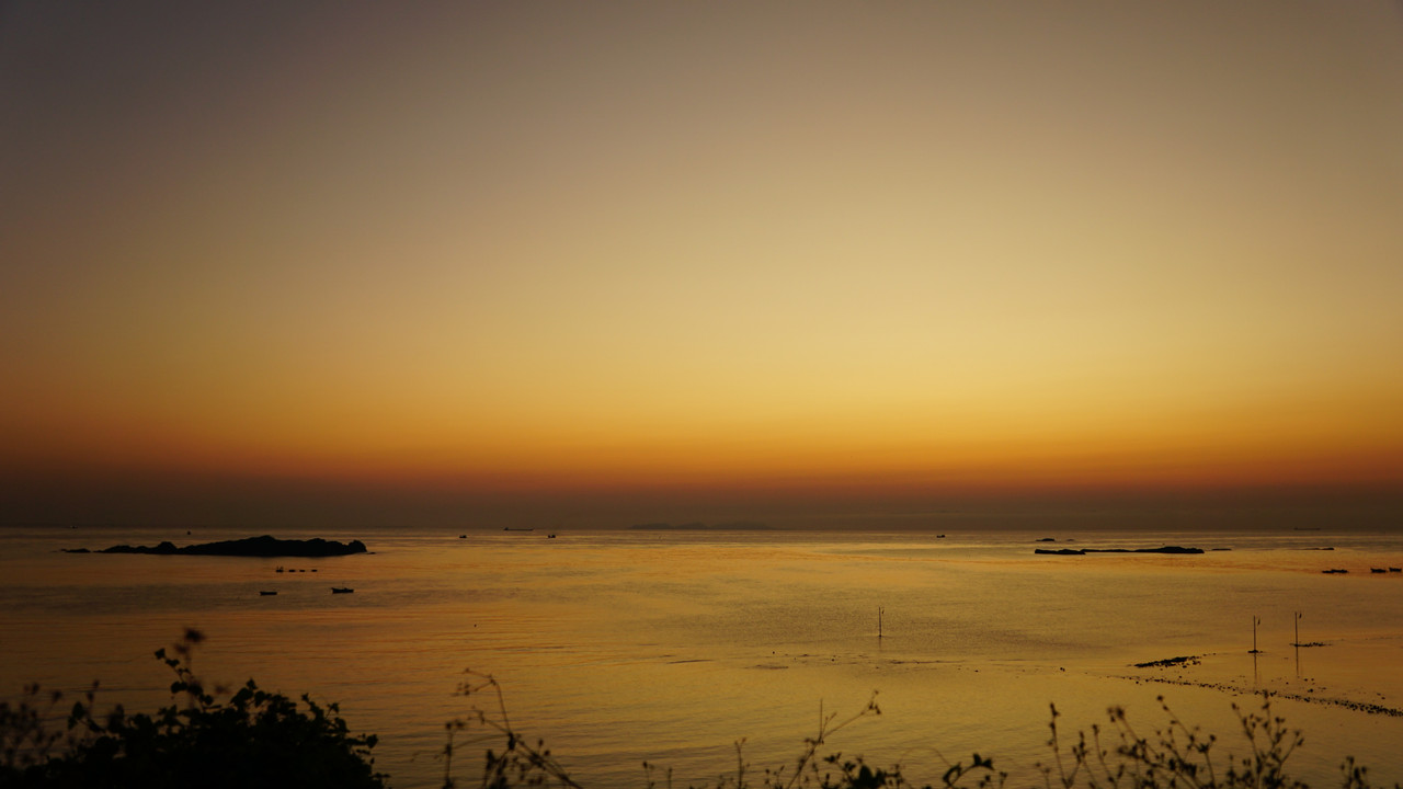 DSC01917