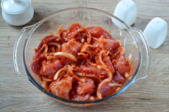 shashlik-v-tomatnom-marinade-540687