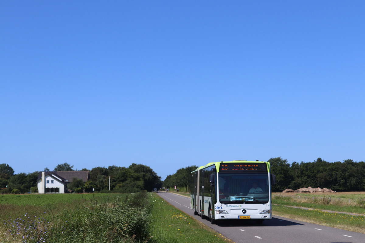 TXL (4)