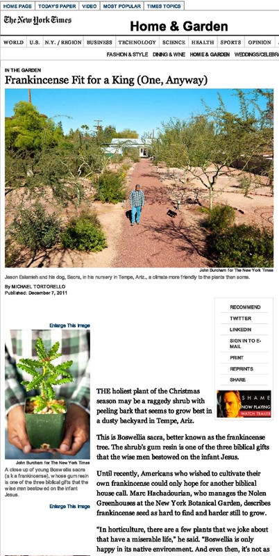 01 сша поставщик