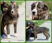 Be-Funky-collage-15.jpg&key=720041c06290