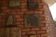 DSC-0349