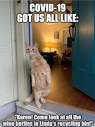 [Image: CAT.jpg]