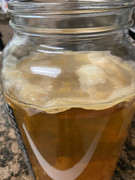 041C21FF-7990-44F4-920B-B866325BDD45