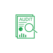Audit Icon