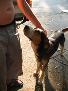 ADP System Pancharevo 2009 (46)