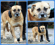 Be-Funky-collage-17.jpg&key=8d9473433c17