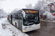 IMG-2974