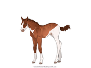 CDF08BD2-283A-4DC3-A063-BAF1DACF36C2