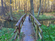 PXL_20211024_142928117