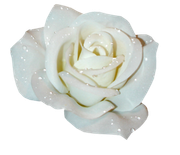 Sweet-Love-MM-Element-86