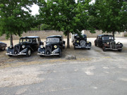 IMG-1189.jpg