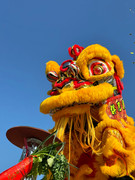 Lion Dance_32