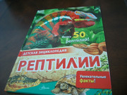 https://i.postimg.cc/phTVFpBw/100-8565.jpg