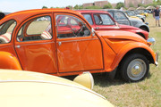IMG-3913.jpg